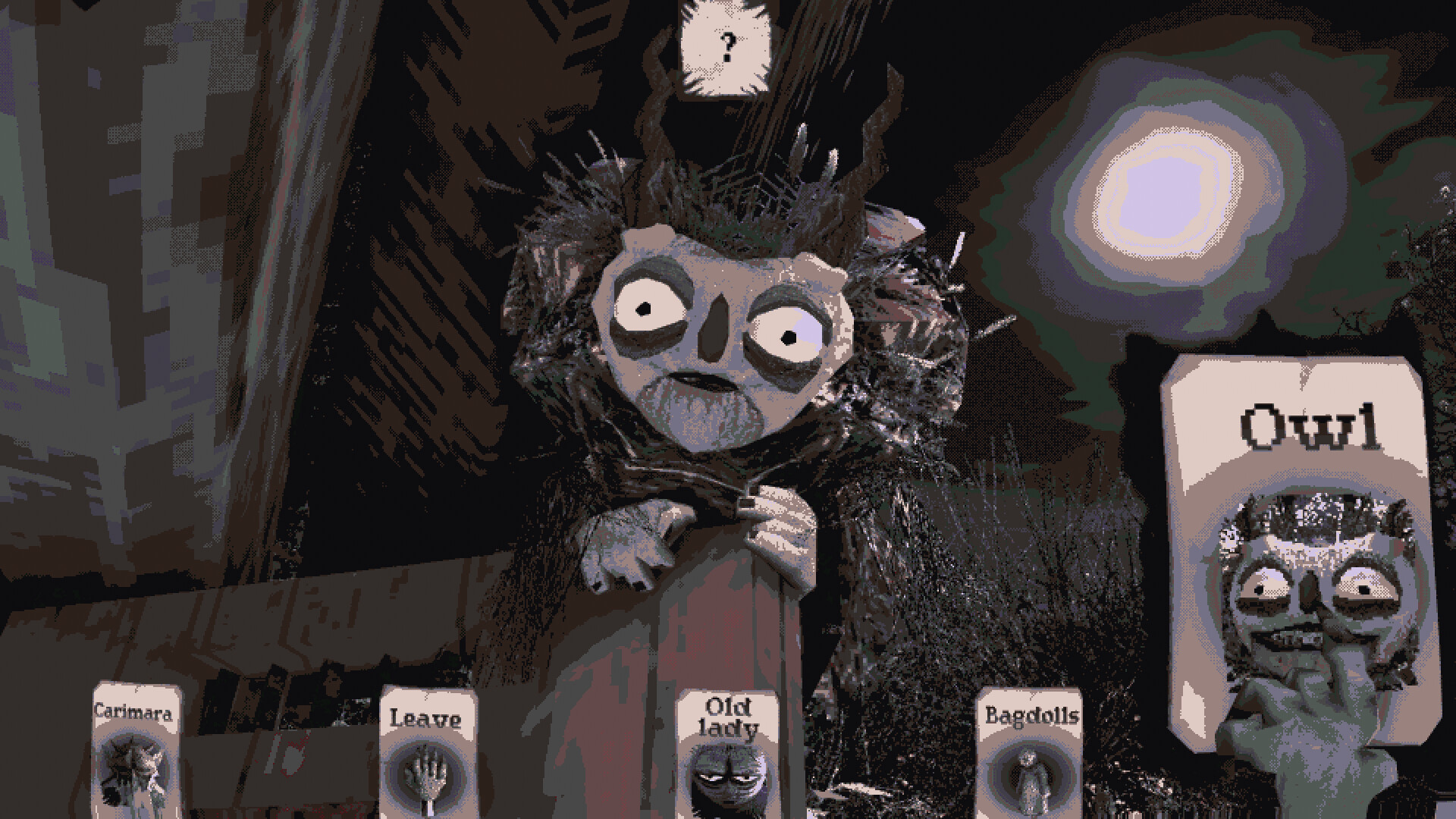 The Owl standing outside under the moon in Carimara