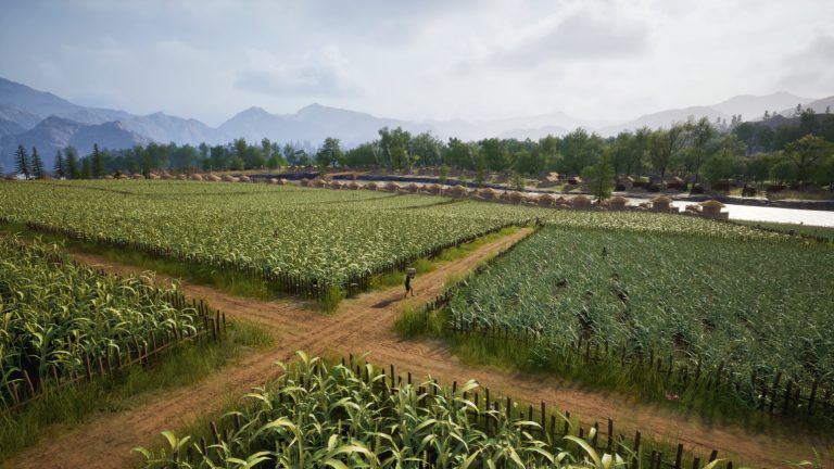 Mandate Order farmland planted in large seasonal plots