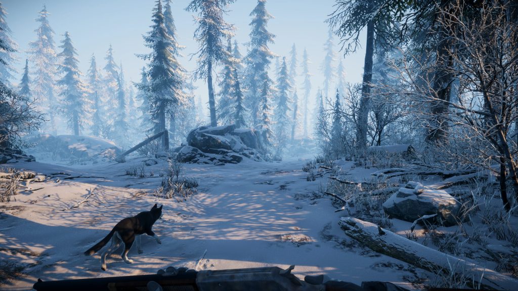 Rocky leading the player through a bright snowy forest in The Pale Mimic