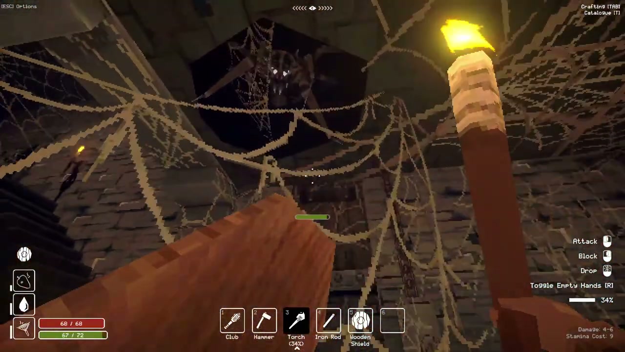 A spider hanging above a chest in the prison webbing.