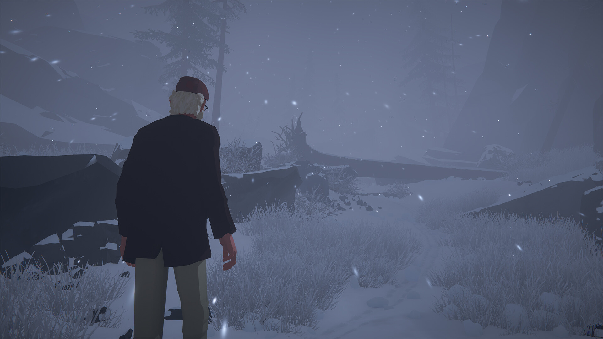 Alfred facing a narrow snowy mountain path between dark rocks and trees