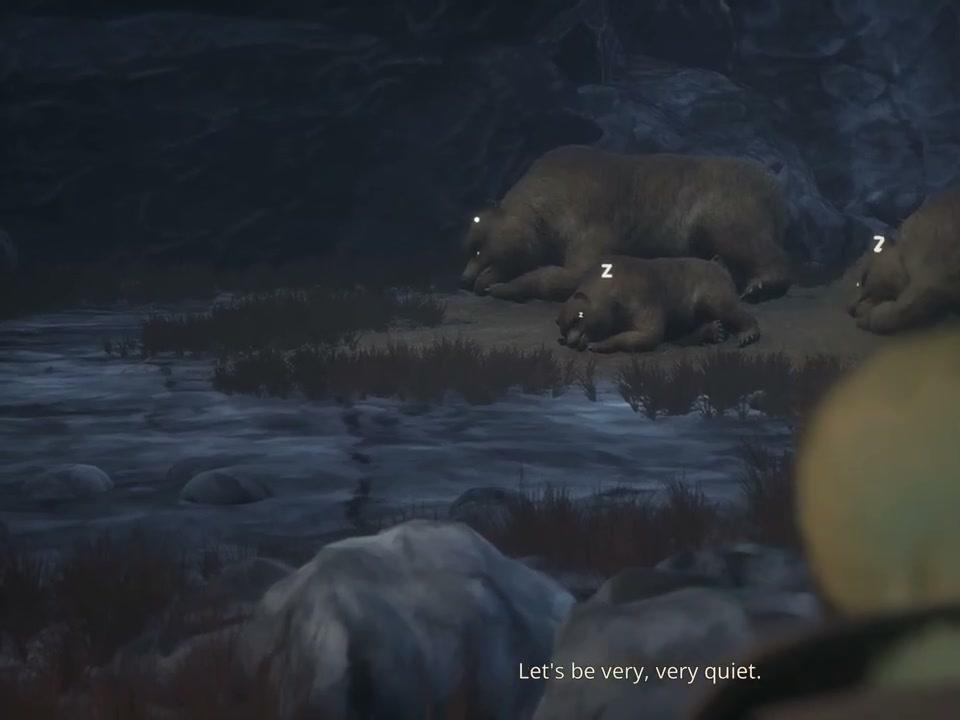Three bears sleeping together inside the return cave