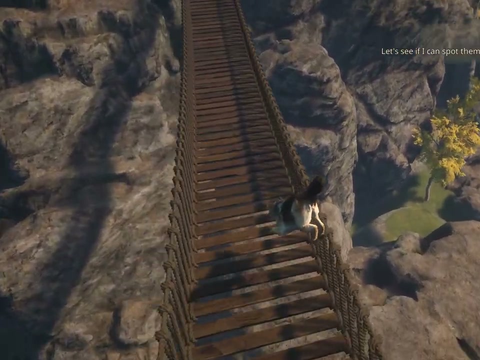 A long wooden staircase rising between cliffs to the lookout