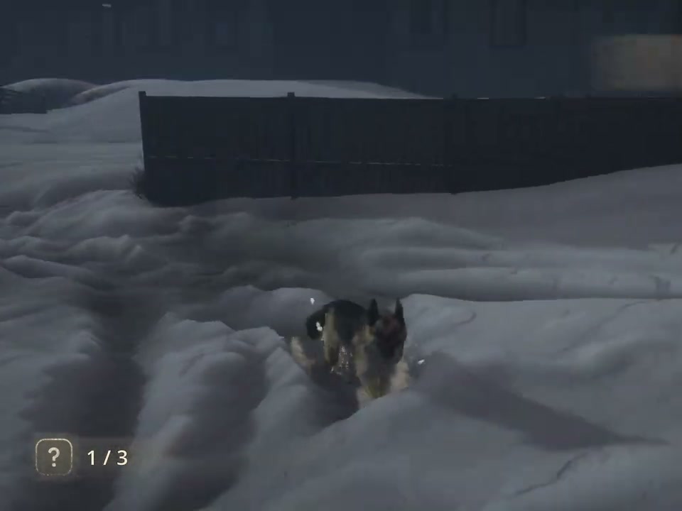 Hubert and another dog fighting wolves in the snowy quarry yard