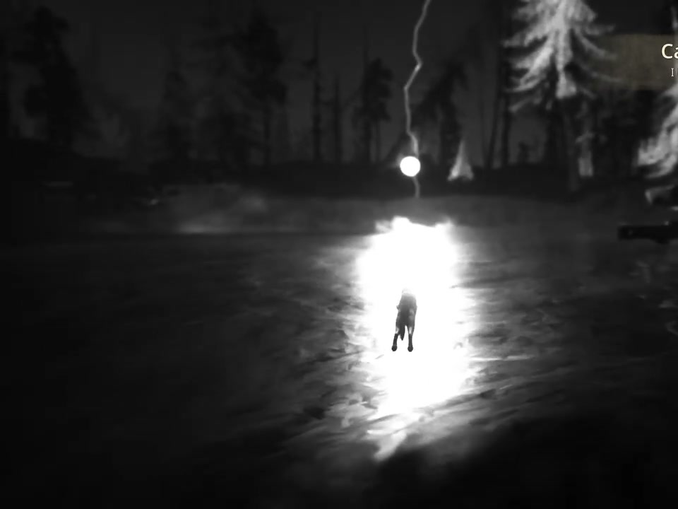 Hubert following a bright light into water in the final dream