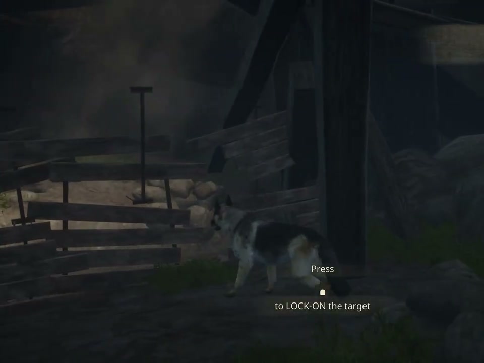 Hubert facing the wooden barrier beside the trapped dog