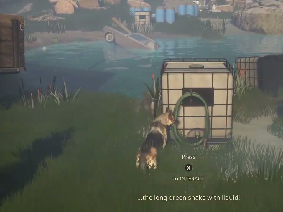 A green hose looped on a square white water tank beside the pond