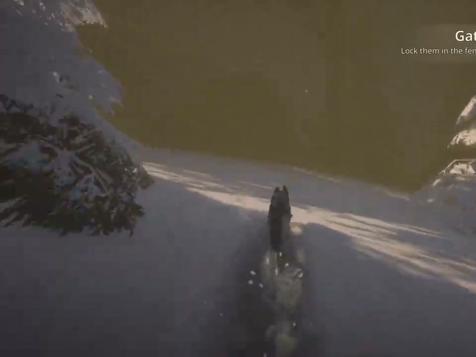 Hubert using scent to locate sheep on the snowy slope above the lake