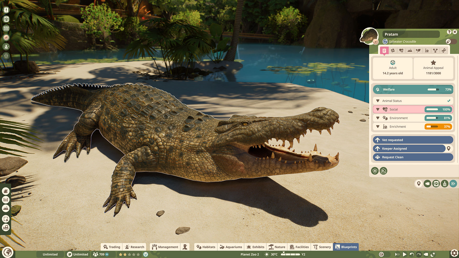 Saltwater crocodile beside its animal information panel and welfare categories
