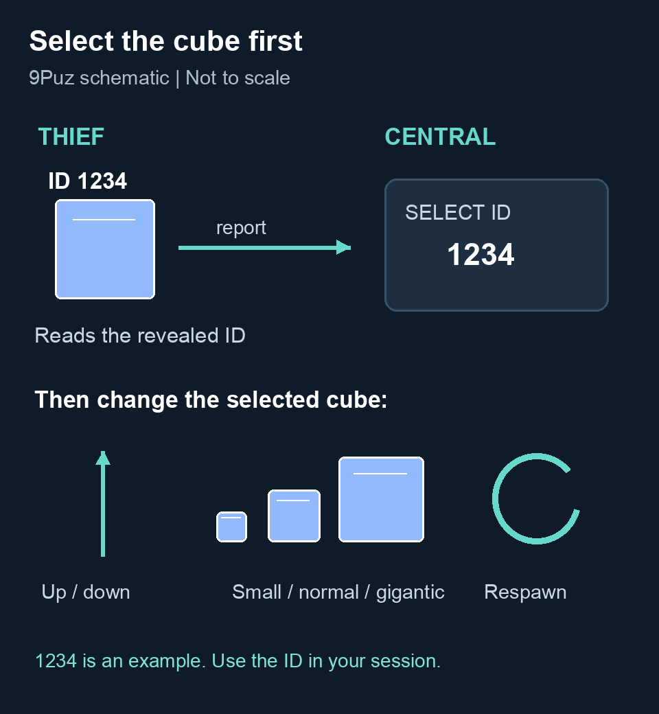 Diagram showing beam entry, cube ID selection, then gravity, size and respawn controls
