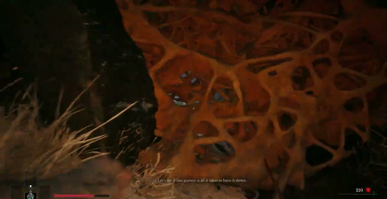 The woven barrier on the cliff path near Onslaught Arch